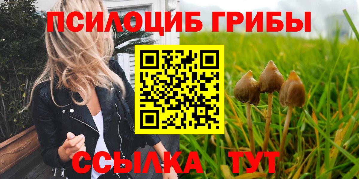 Прохладный  Псилоцибиновые грибы Magic Shrooms  Вход с VPN 