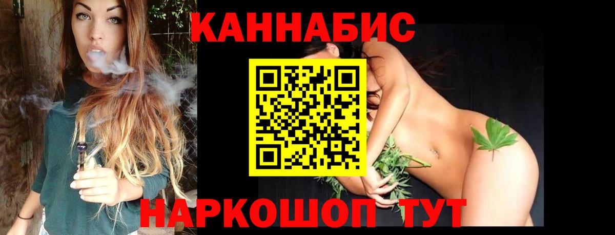 Марихуана гибрид  Шишки марихуана план  Прохладный  Каннабис семена  Вход с VPN  Каннабис сатива 